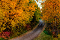 Autumn Lane 4