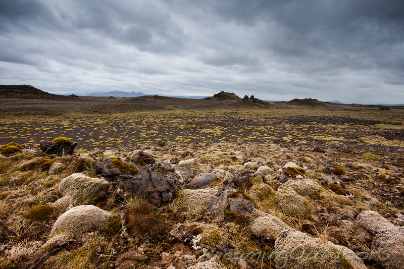 Volcanic Plains