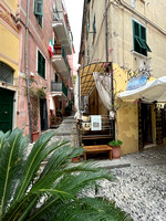 Monterosso Alley
