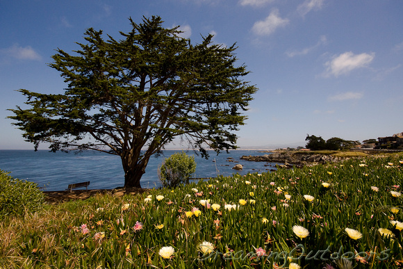 Monterrey, CA