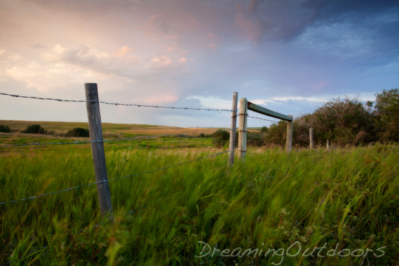 Dreamy Prairiescape
