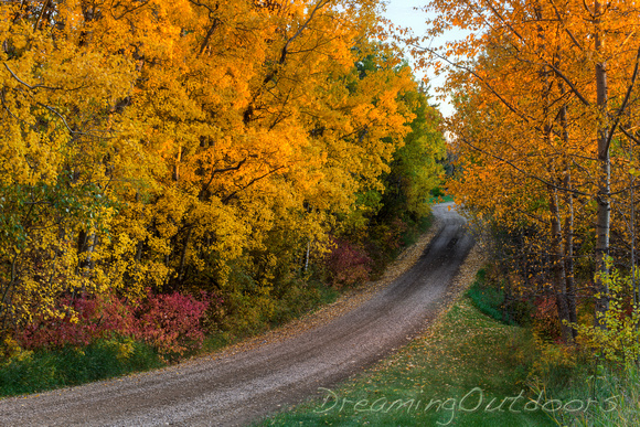 Autumn Lane 3