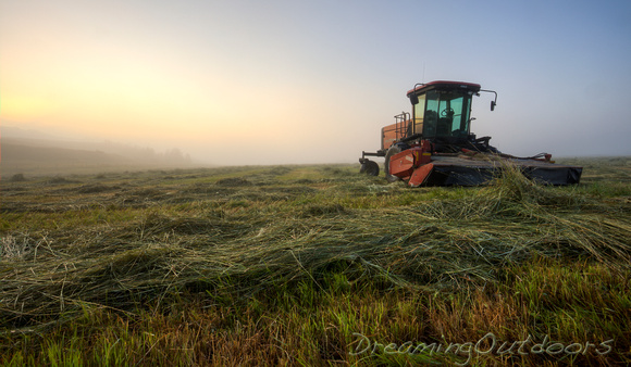 Swather in the Fog 1