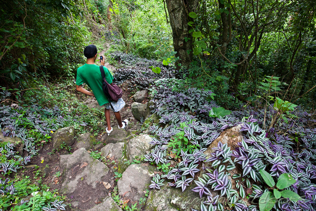 Gros Piton hiking