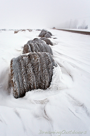 Frosty Straw Bales