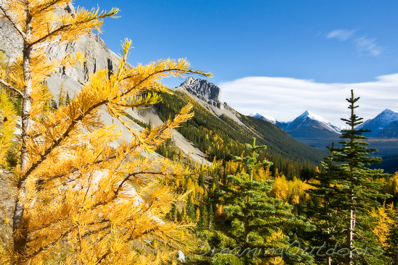 Commonwealth Valley, Kananaskis, AB